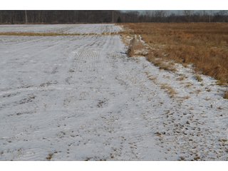 54.7 Acres with 50 tillable and 4.3 wooded.  Surrounded by heavy deer population on CRP land.  Great trophy deer hunting on established food plots.  Hunting tower.

Receive income on tillable acres while abundance of deer hunting on established food plot. - Great Investment Opportunity - Tillable Land, Recreation & Building Site